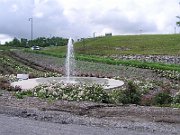 P6010069