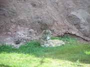 P7080097