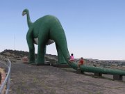 P7110016