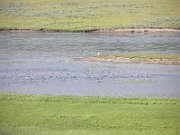 P7160179