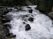 P7190079