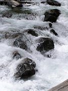 P7190081