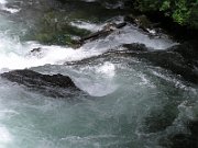 P7190095