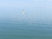 20070616104600