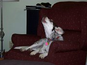 20070804164131