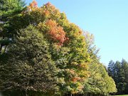 20071029122755
