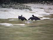 20080208113725