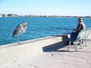 20080210161408