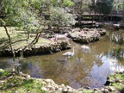 20080215105726
