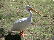 20080215105839