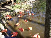 20080215110010