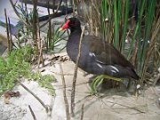 20100222144445