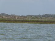 20100311133518