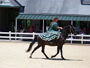 20100606131812