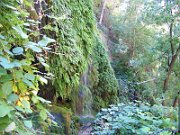 20111013112152